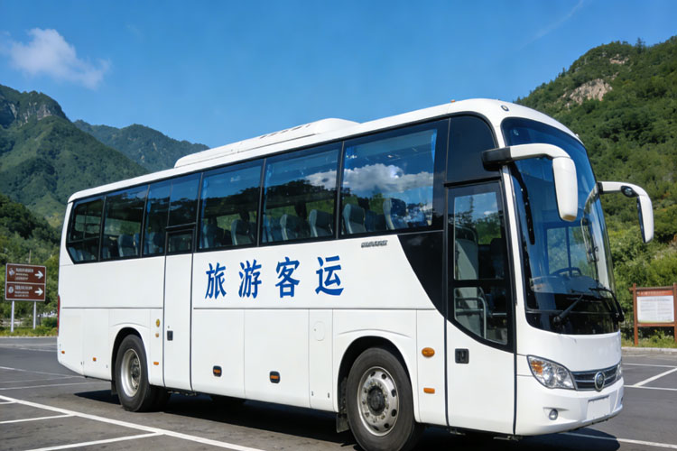 旅游客运